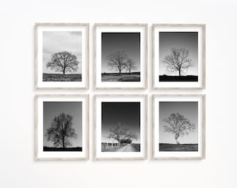 Black & White Tree Print Set for Gallery Wall. Minimal Tree Landscape Wall Art. Rustic Nature Photography. Canvas Set of 6. Gift for Her.