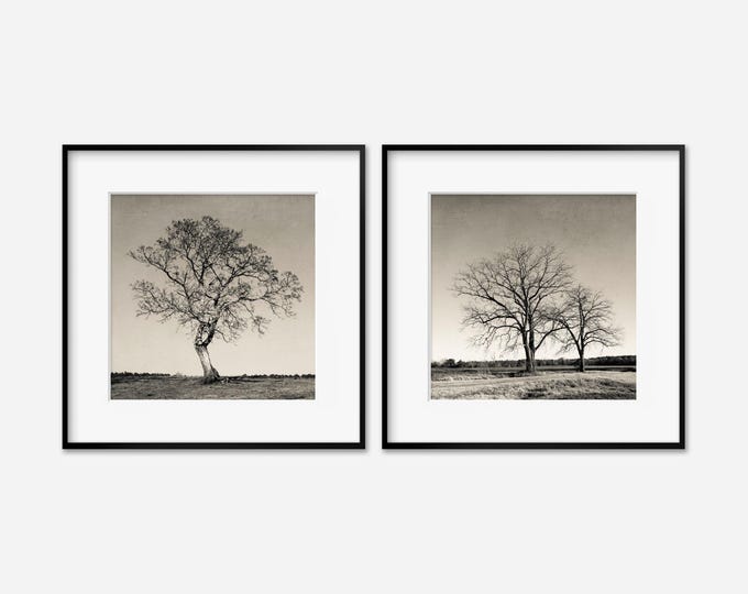 Rustic Tree Wall Art Decor. Set of 2 Tree Landscape Photography Prints or Canvas. Rustic Home Decor Artwork. Metal or Wood Prints Available.