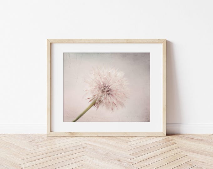 Dandelion Photography Print or Canvas, Grey & Pastel Pink Nature Art, Dusty Rose Girl Nursery Art, Framed Pink Nature Art, Framed Dandelion