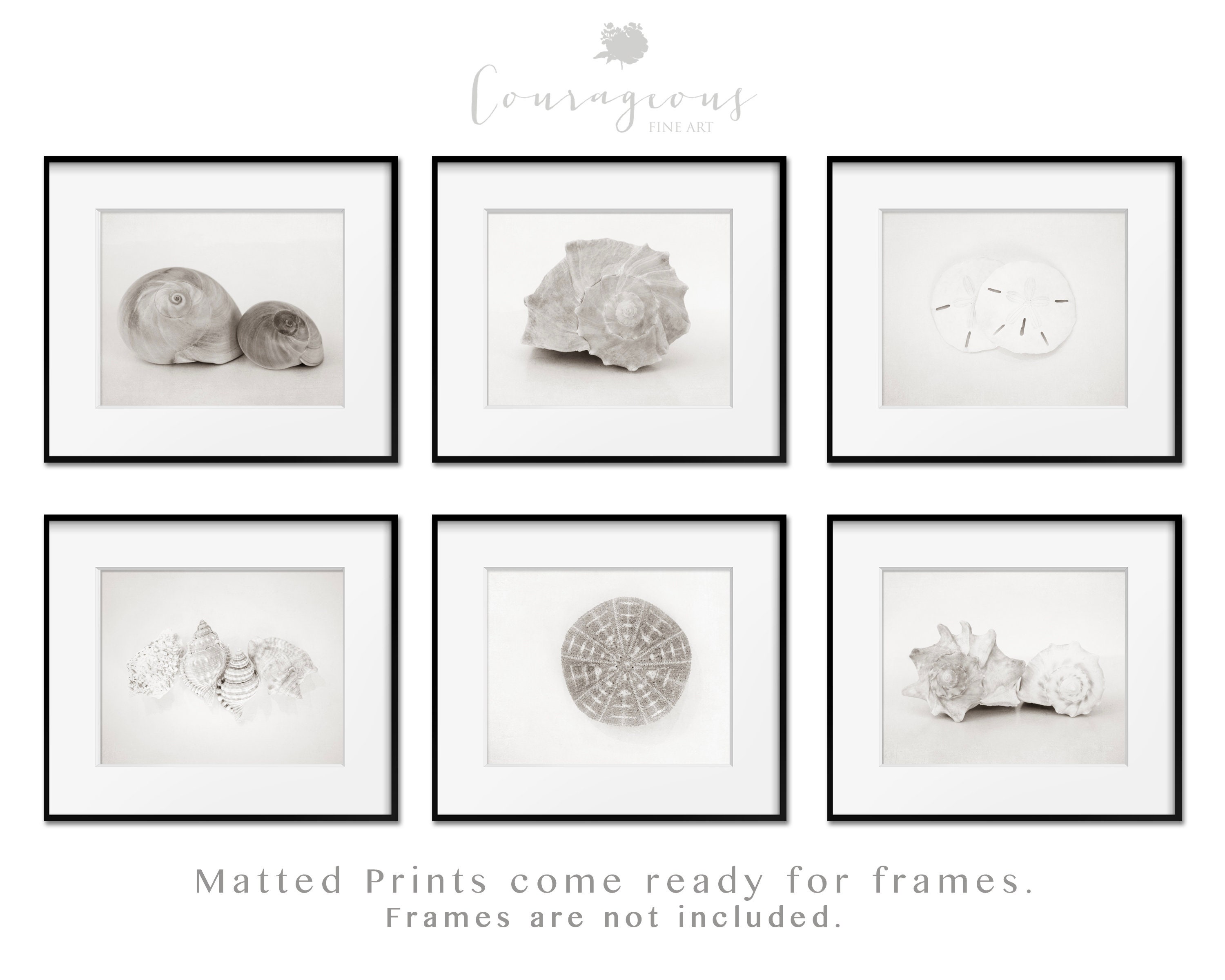 White Coastal Wall Art Decor Print or Canvas Set. Set of 6 Neutral