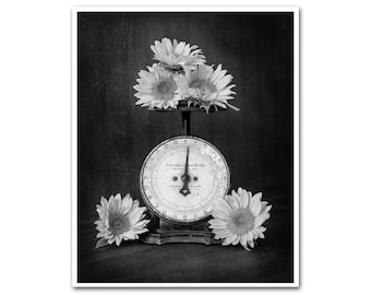 Modern Farmhouse Photography Print, Black & White Sunflower Print, Vintage Farm Scale, Kitchen Print, Framed Farmhouse Print, Floral Canvas