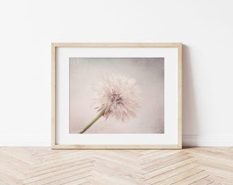 Dandelion Photography Print or Canvas, Grey & Pastel Pink Nature Art, Dusty Rose Girl Nursery Art, Framed Pink Nature Art, Framed Dandelion