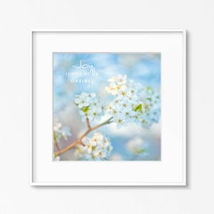 May include: A framed print featuring a close-up of white blossoms on a branch against a soft blue background. The text "Joy comes in the morning" is written in cursive. The print is in a white frame.