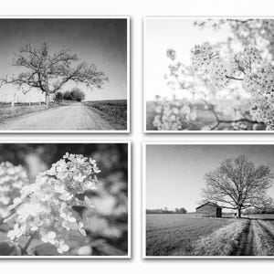 Rustic Landscape Photography, Farmhouse Prints, Floral Prints, Neutral Home Decor, Country Print Set, Also Available on Canvas, Metal & Wood image 2