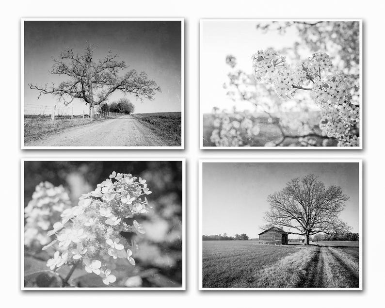 Rustic Landscape Photography, Farmhouse Prints, Floral Prints, Neutral Home Decor, Country Print Set, Also Available on Canvas, Metal & Wood image 2