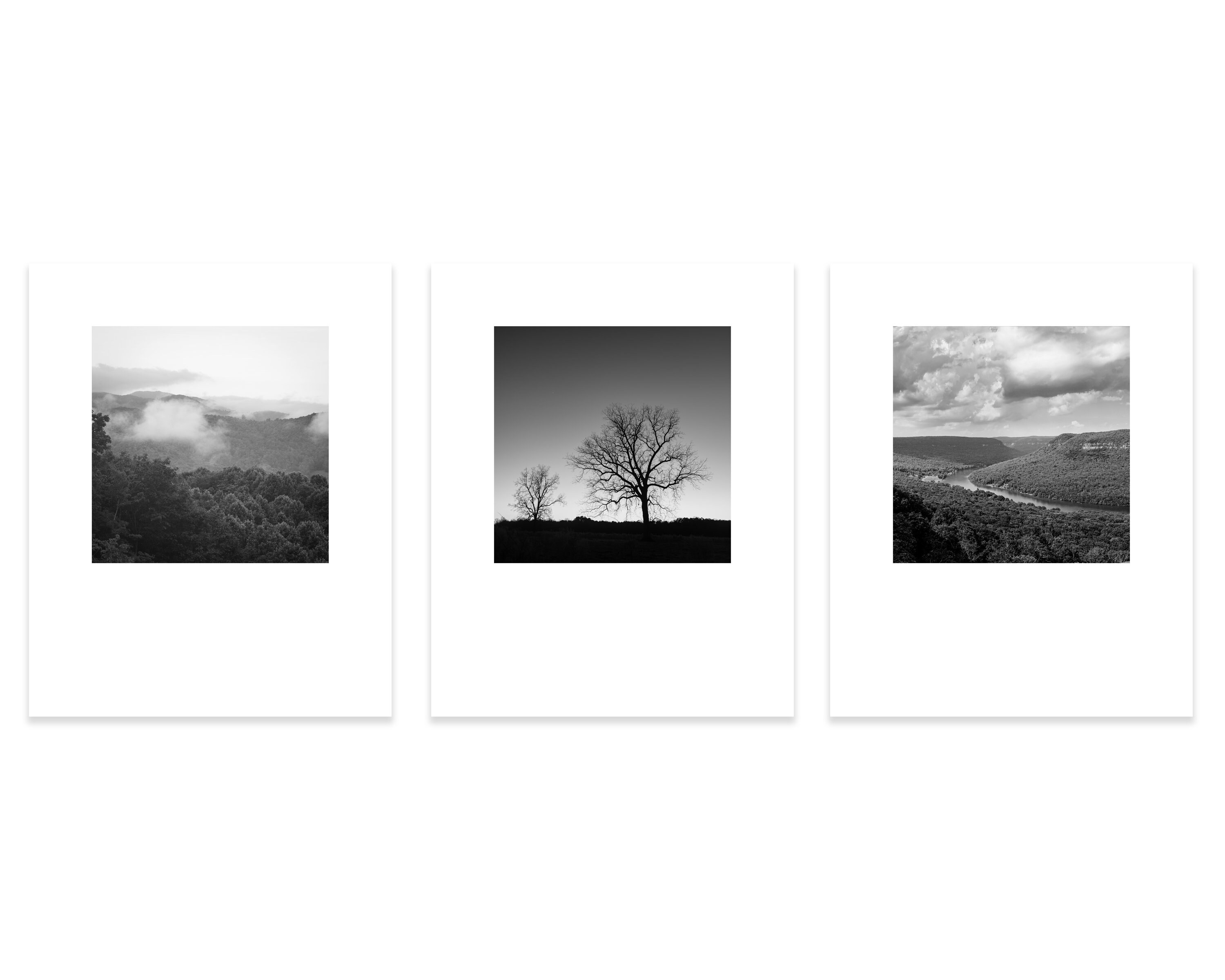 Nature Print Set Mountain Photography Prints Rustic Decor Black White Wall Art Tree Canvas Set Farmhouse Prints Gallery Wall Art