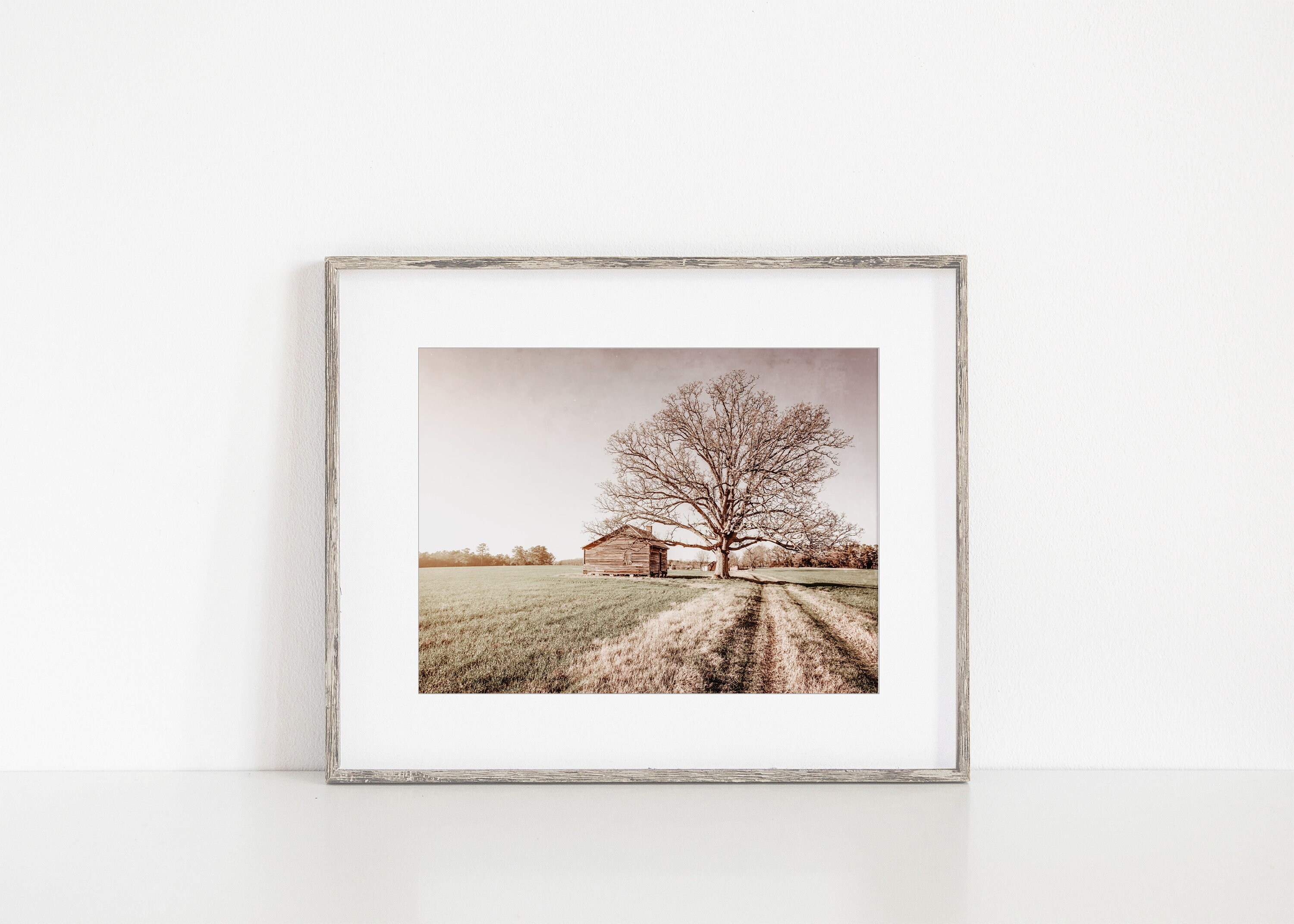 Rustic Farm Landscape Wall Art Print or Canvas. Neutral Farm Landscape with Oak Tree at Sunset