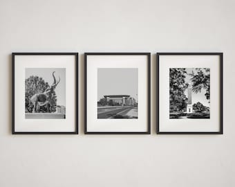 University of Alabama Wall Art Prints or Canvas Set of 3. Tuscaloosa Photography Prints. UA Crimson Tide Gallery Wall Art Decor