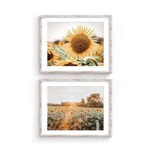 Sunflower Field Wall Art Decor Set for Rustic Farmhouse Decor. Sunflower Wall Art Print or Canvas Set. Sunflower Nursery Art. Gift for Her.