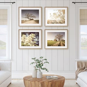 Rustic Landscape Photography, Farmhouse Prints, Floral Prints, Neutral Home Decor, Country Print Set, Also Available on Canvas, Metal & Wood image 3