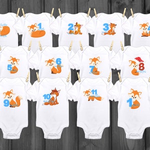 Fox Baby milestone outfit