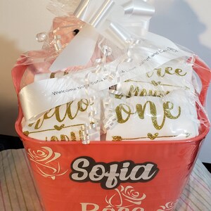 Baby milestone outfit gift set