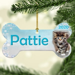 Gift for Cats