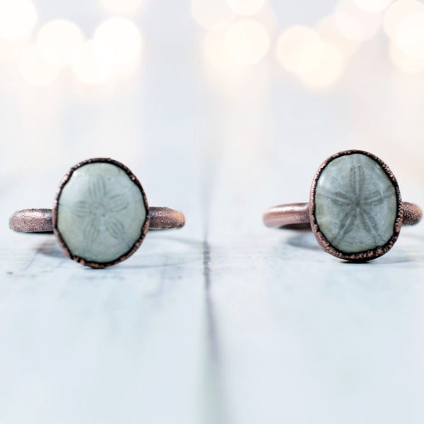 SALE Sand dollar fossil ring | Electroformed fossil  | Raw organic fossil ring | Fossilized Sand Dollar | Women or men's mineral ring