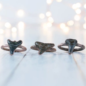 SALE Shark tooth ring | Sharkstooth ring | Fossil Sharktooth ring | Fossil sharks tooth ring | Black fossilized shark tooth ring
