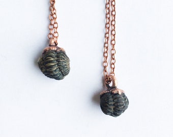 Trilobite fossil necklace | Raw fossil necklace | Trilobite necklace | Black fossil stone pendant on copper chain | Trilobite jewelry