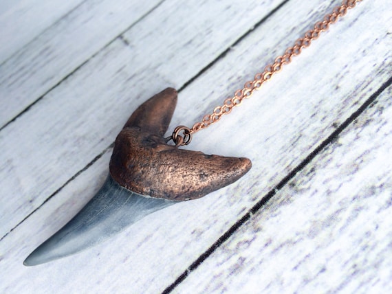 Megladon Era Shark's Tooth On Copper Chain Necklace Megladon Era Shark's Tooth On Copper Chain Necklace