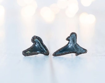 SALE Shark tooth stud earrings | Shark tooth fossil earrings | Black fossil specimen  | Shark tooth studs