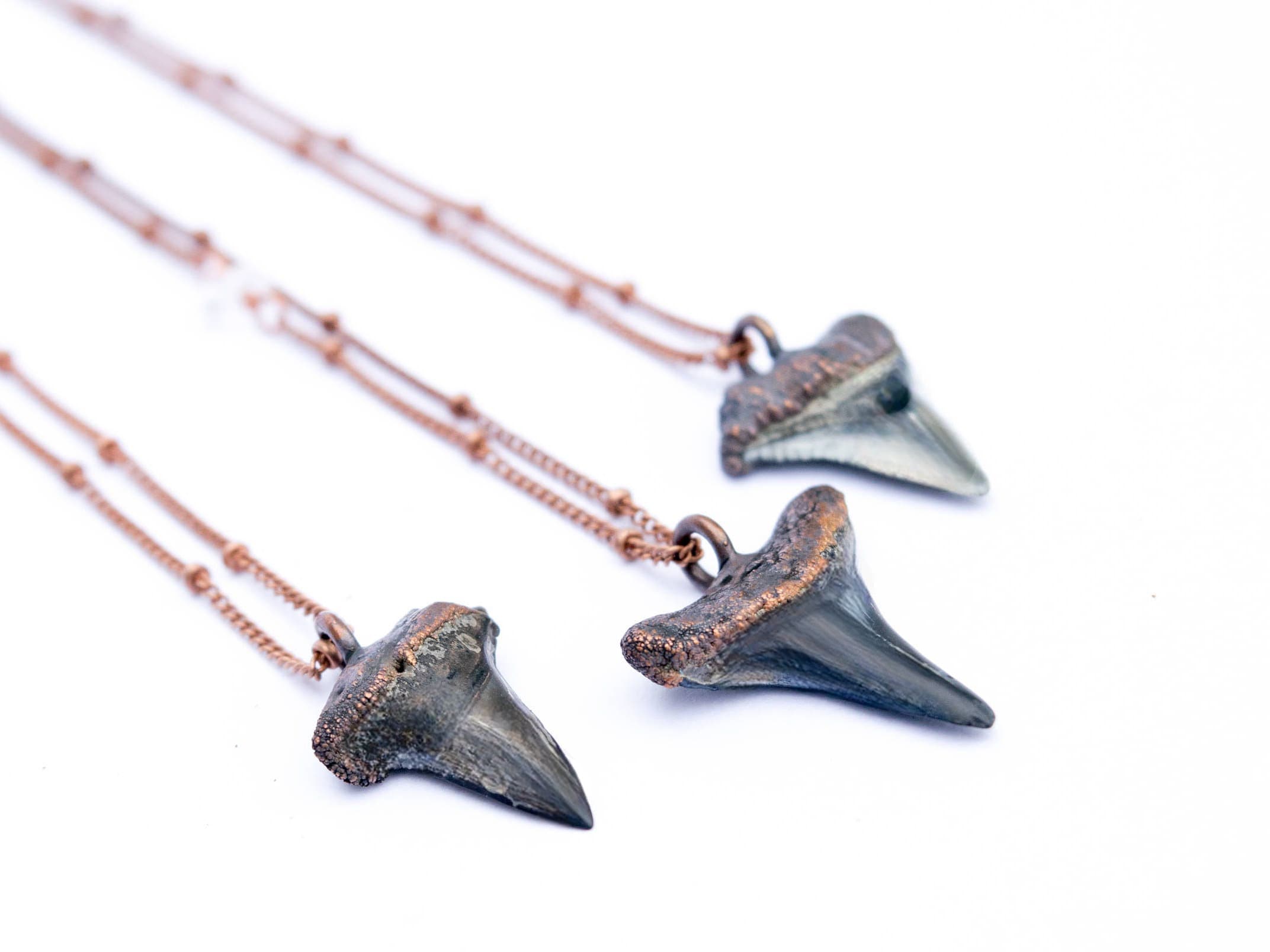 Megladon Era Shark's Tooth On Copper Chain Necklace Megladon Era Shark's Tooth On Copper Chain Necklace