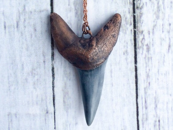 Megladon Era Shark's Tooth On Copper Chain Necklace Megladon Era Shark's Tooth On Copper Chain Necklace