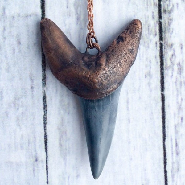 Large shark's tooth pendant | Electroformed copper shark tooth | Megalodon era fossil | Copper mako tooth fossil | Sharktooth Necklace