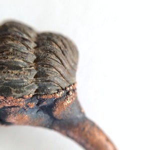 Trilobite fossil ring | Electroformed fossil jewelry | Raw organic fossil ring | Black trilobite fossil ring | Women or men&#39;s mineral ring