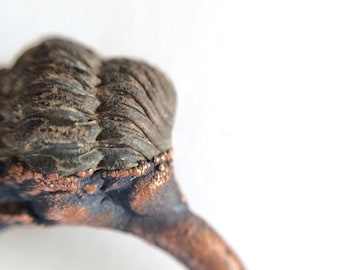 Anello fossile di trilobite / Gioielli fossili elettroformati / Anello fossile organico grezzo / Anello fossile di trilobite nero / Anello minerale da donna o da uomo