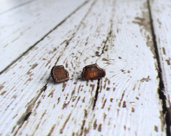 Raw Amber studs | Rough amber earrings | Amber post earrings | Amber fossil stud earrings | Amber nugget post earrings