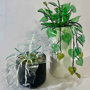 Pode incluir: Duas plantas artificiais decorativas. Uma está num vaso preto com folhas transparentes em forma de coração e caules brancos. A outra está num vaso branco com folhas verdes em forma de coração e caules verdes. As folhas são feitas de um material translúcido.