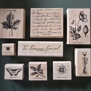 Lot de 9 tampons en caoutchouc sur bois floraux de Stampin' Up, disque complet.  2002 Crocus pavot Plants d'abeilles