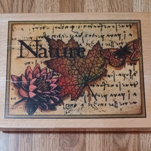 XL Natur Chrysanthemen Schmetterling Ahornblatt Holz Stempel Stempel Hintergrund Stempel Flüstern Insekt Forst Natur Baum 2003