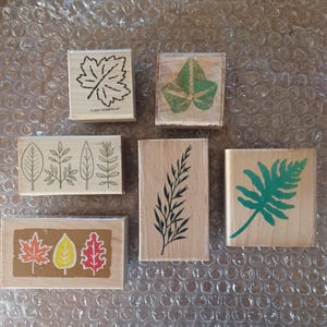 6 Wald Baum Blatt Blätter Holz montiert Stempel Herbst Herbst vintage R Stampede Hero Arts Stampede Up Blatt Melange Farn Efeu