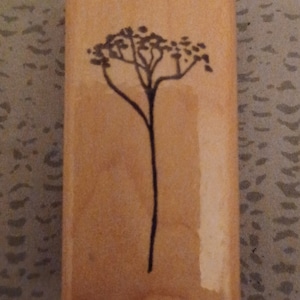 Timbro in gomma montato su legno con pianta di fiori selvatici Baby's Breathe di D.O.T.S raro HTF natura fiore floreale F 160