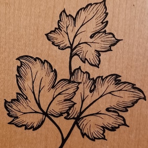 Blätter Blatt Baum Themed Vintage 2000 Holz montiert Stempel von PSX G-3101 Forestry Nature