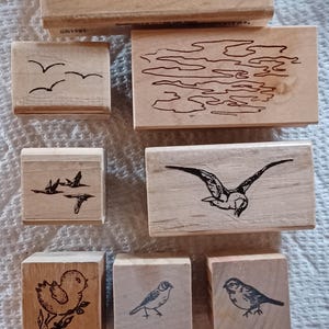 10 uccelli con nuvole lotto vintage super raro timbri in gomma montati su legno Tapastry Hero Arts Graphic Stampscapes Cabana Stampabilities ornitologia