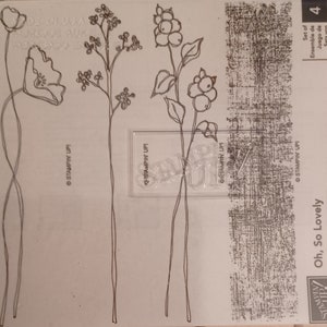 Nouveau lot de 4 tampons en caoutchouc sur bois Oh, si belle de Stampin' Up arrêté 2006 fleurs florales roses non marouflées