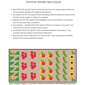 May include: A diagram showing a summer garden bed layout with basil, tomatoes, peppers, cucumbers, and sunflowers. The plants are arranged in rows with nasturtiums planted in the corners. The text "Basil, Tomatoes, Peppers, Cucumbers-Trellised, and Sunflowers, with Nasturtiums at corners." is at the bottom of the diagram.