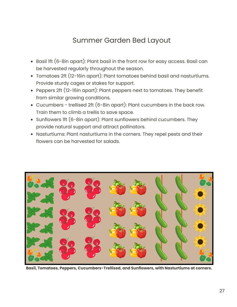 May include: A diagram showing a summer garden bed layout with basil, tomatoes, peppers, cucumbers, and sunflowers. The plants are arranged in rows with nasturtiums planted in the corners. The text "Basil, Tomatoes, Peppers, Cucumbers-Trellised, and Sunflowers, with Nasturtiums at corners." is at the bottom of the diagram.