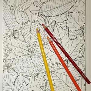 Coloring Page - Leaves