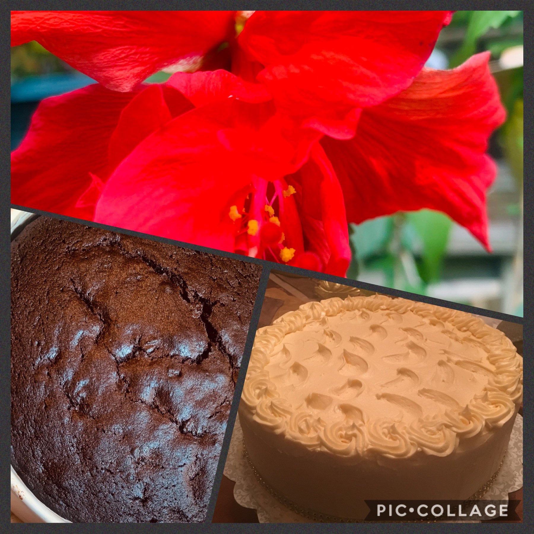 Traditional Trinidad Fruit Cake Rum Cake Christmas Cake Etsy