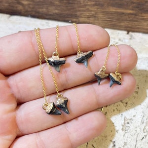 24kt Gold Dipped Fossilized Shark Tooth Earrings Hawaii Jewelry Gold Ear Threads Threader Style