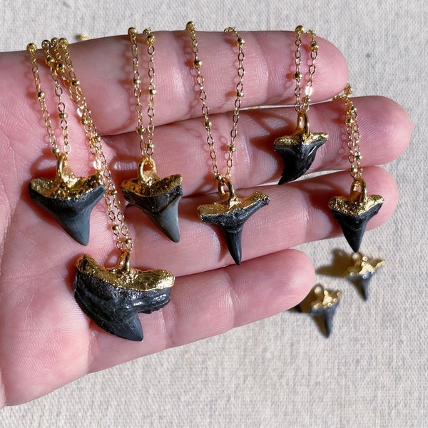 Collier dent de requin fossilisé trempé dans de l'or 24 carats sur une chaîne de remplissage en or 14 carats