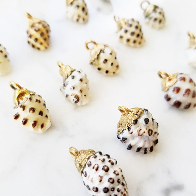 24kt Gold Dipped Hawaiian Shell Drupe Hebrew Cone Shell Miter Sun Rise Hawaii Shell Necklace