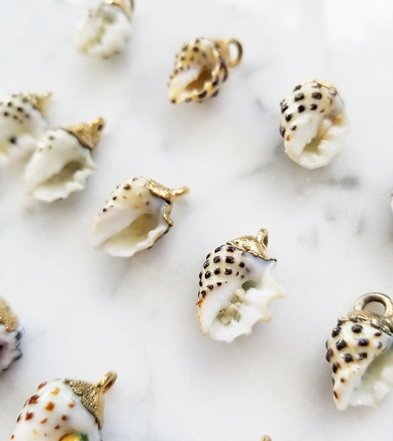 24kt Gold Dipped Hawaiian Shell Drupe Hebrew Cone Shell Miter Sun Rise Hawaii Shell Necklace