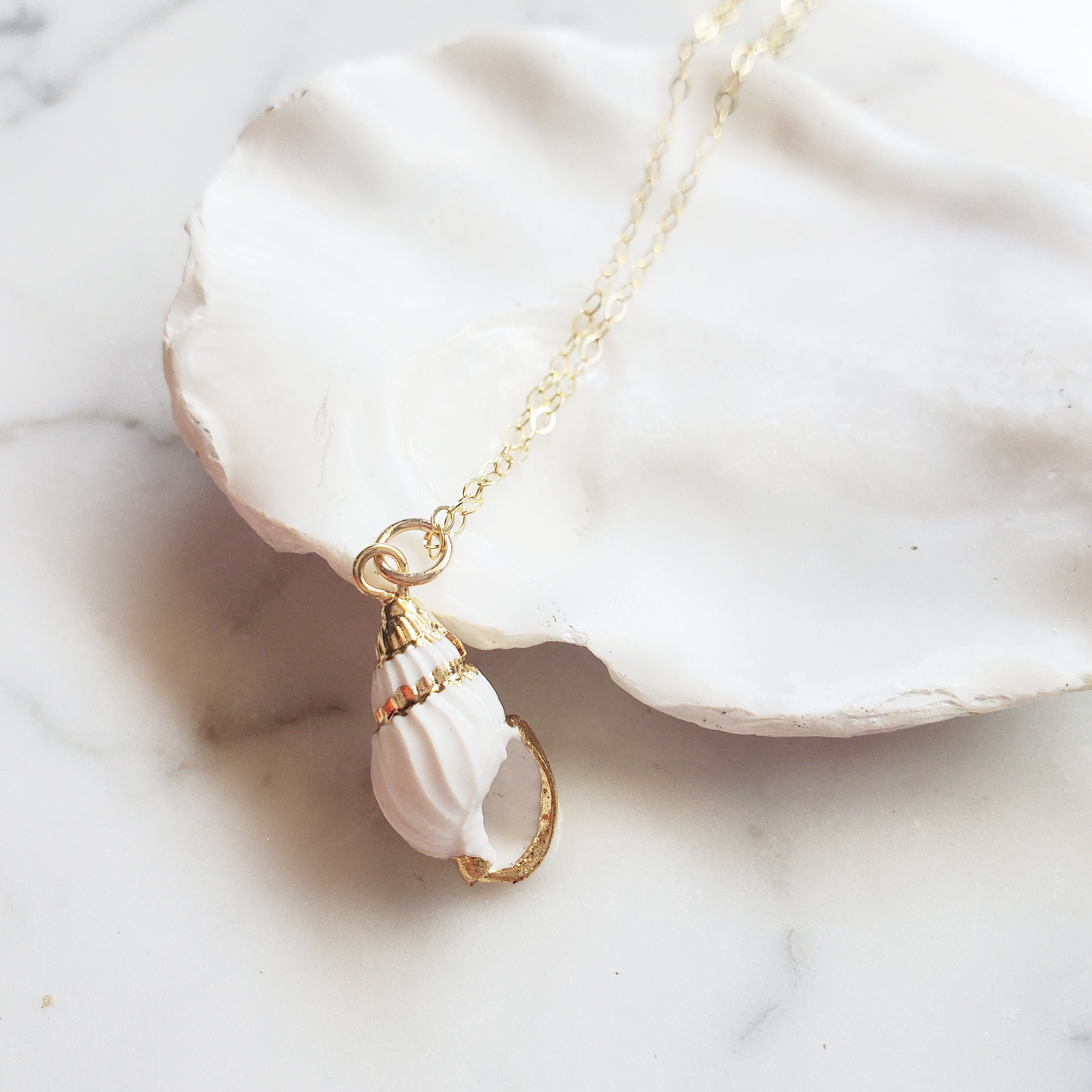 24kt Gold Dipped Seashell Jewelry 