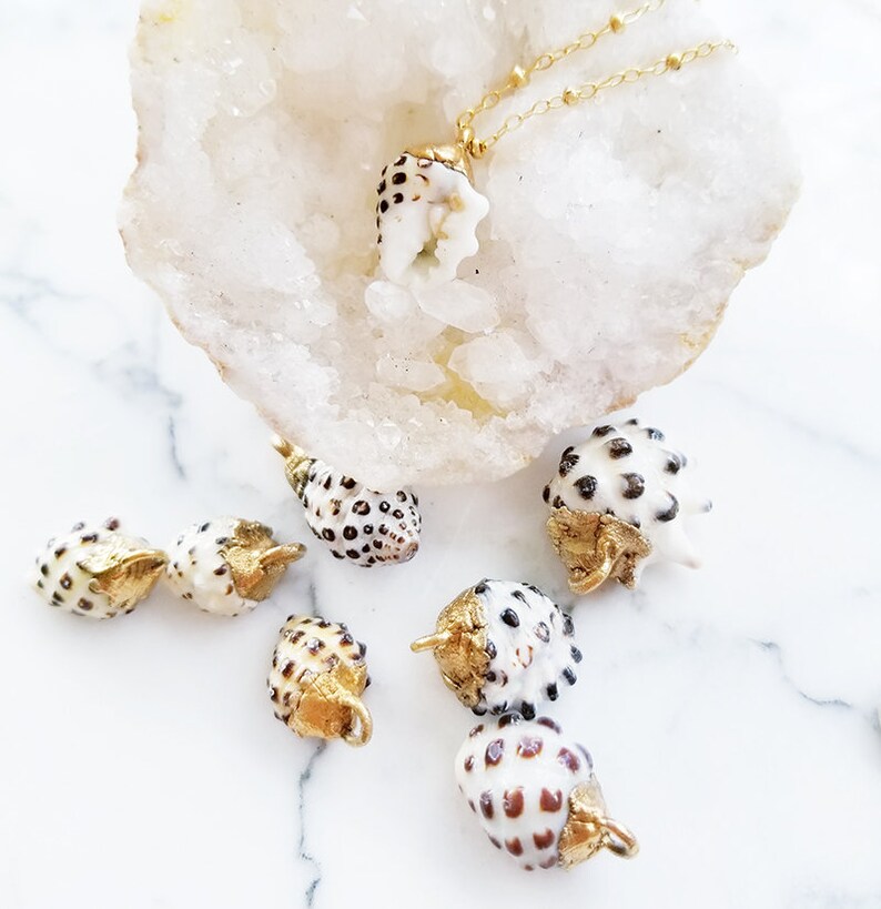 24kt Gold Dipped Hawaiian Shell Drupe Hebrew Cone Shell Miter Sun Rise Hawaii Shell Necklace