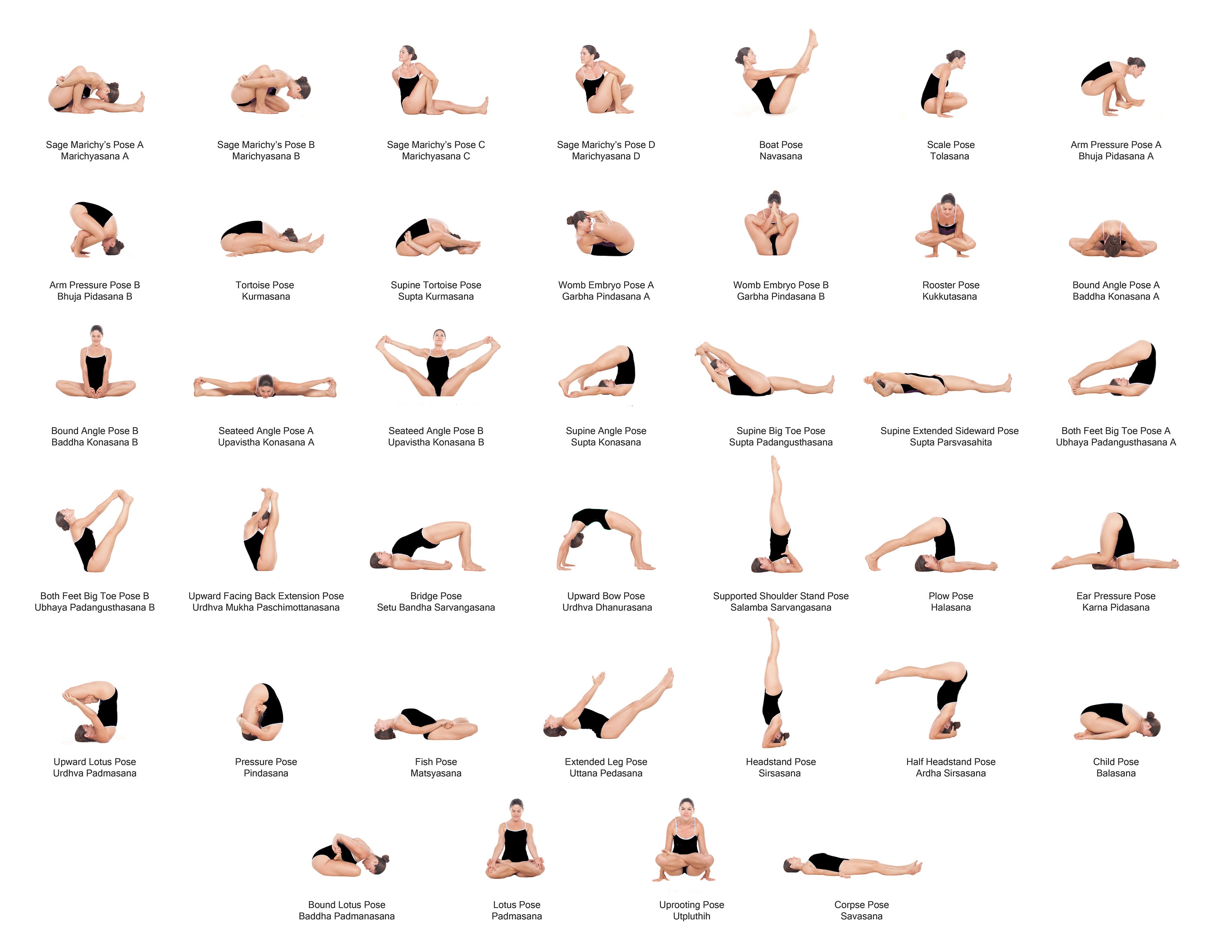List Of All The Yoga Poses | International Society of Precision Agriculture