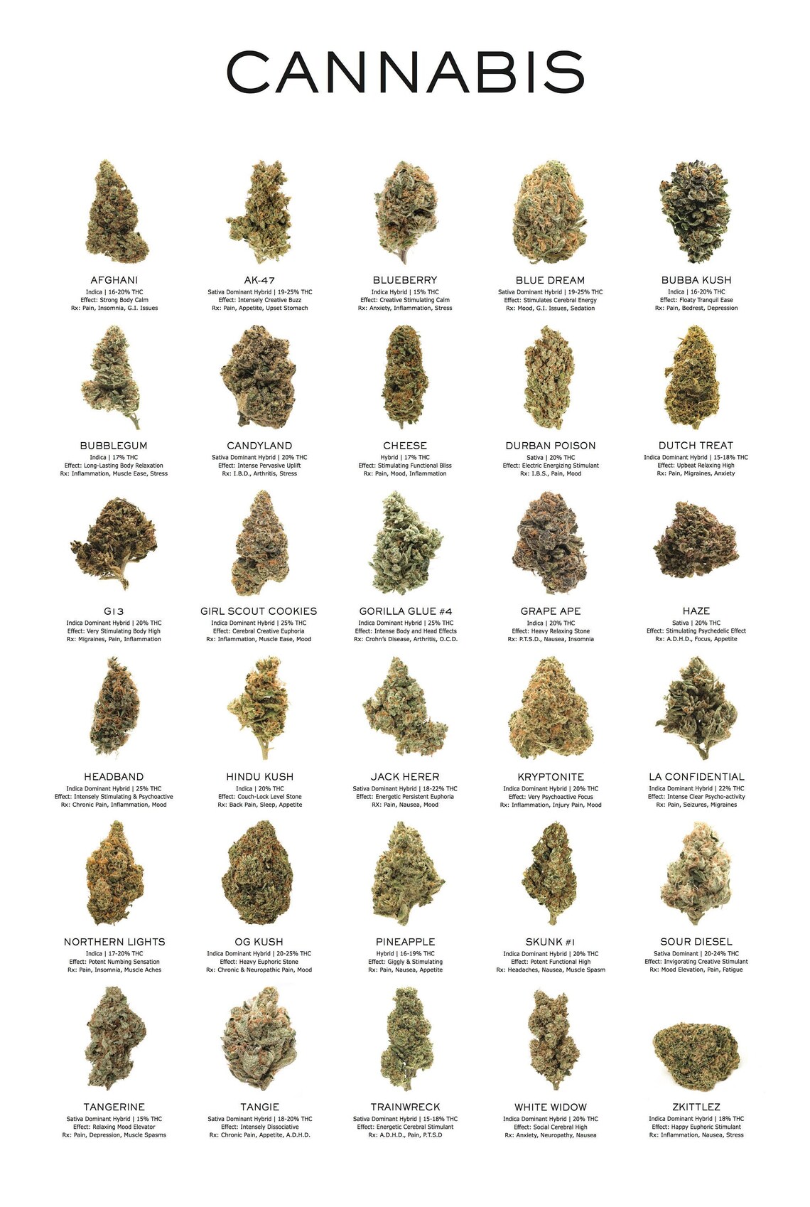 Printable, Cannabis Poster, Cannabis Decor, Cannabis Art, Wall Decor