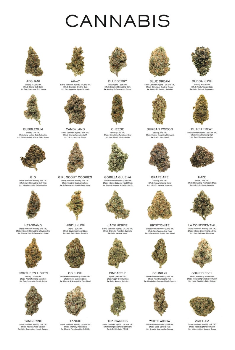 Printable Cannabis Poster Cannabis Decor Cannabis Art Wall Etsy Norway printable-cannabis-poster-cannabis-decor-cannabis-art-wall-etsy-norway