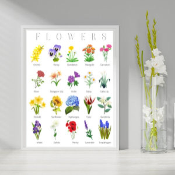 Tableau des fleurs | Diagramme de fleurs | Affiche murale de cuisine | Affiche murale botanique | Charte florale | Affiche d'art de fleurs | Affiches murales de biologie